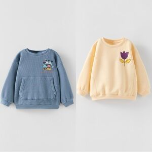 Zara Kids Sweater Sweatshirt Disney and embroided tulip set of 2